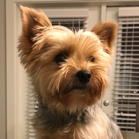 Welcome to L&S Journey...💞 - Picture 5 of 5